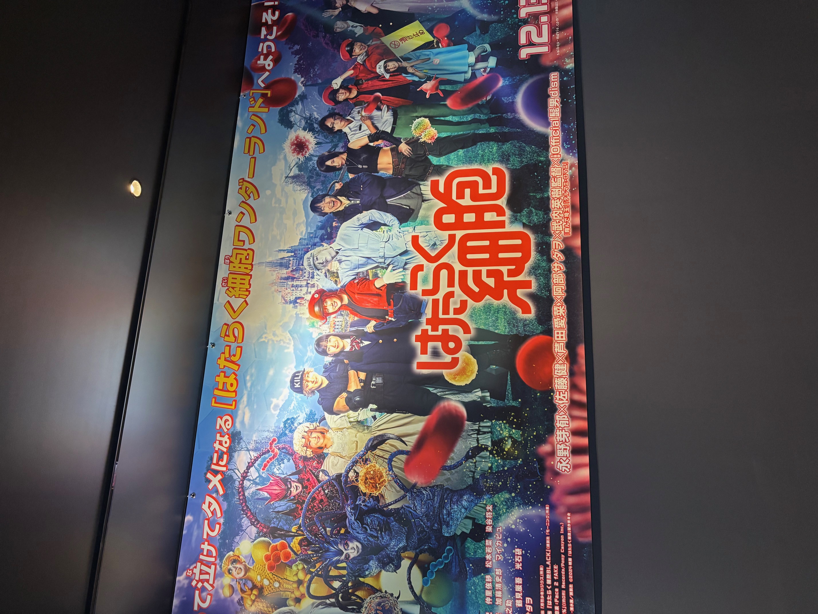 医療通訳通学講座の受講生30